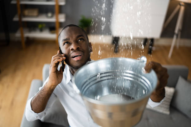 Best Flood restoration services  in Wharton, NJ