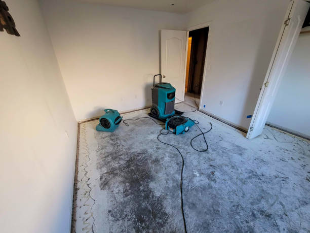 Best Water damage contractors near me  in Wharton, NJ